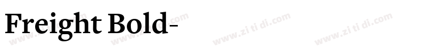 Freight Bold字体转换
